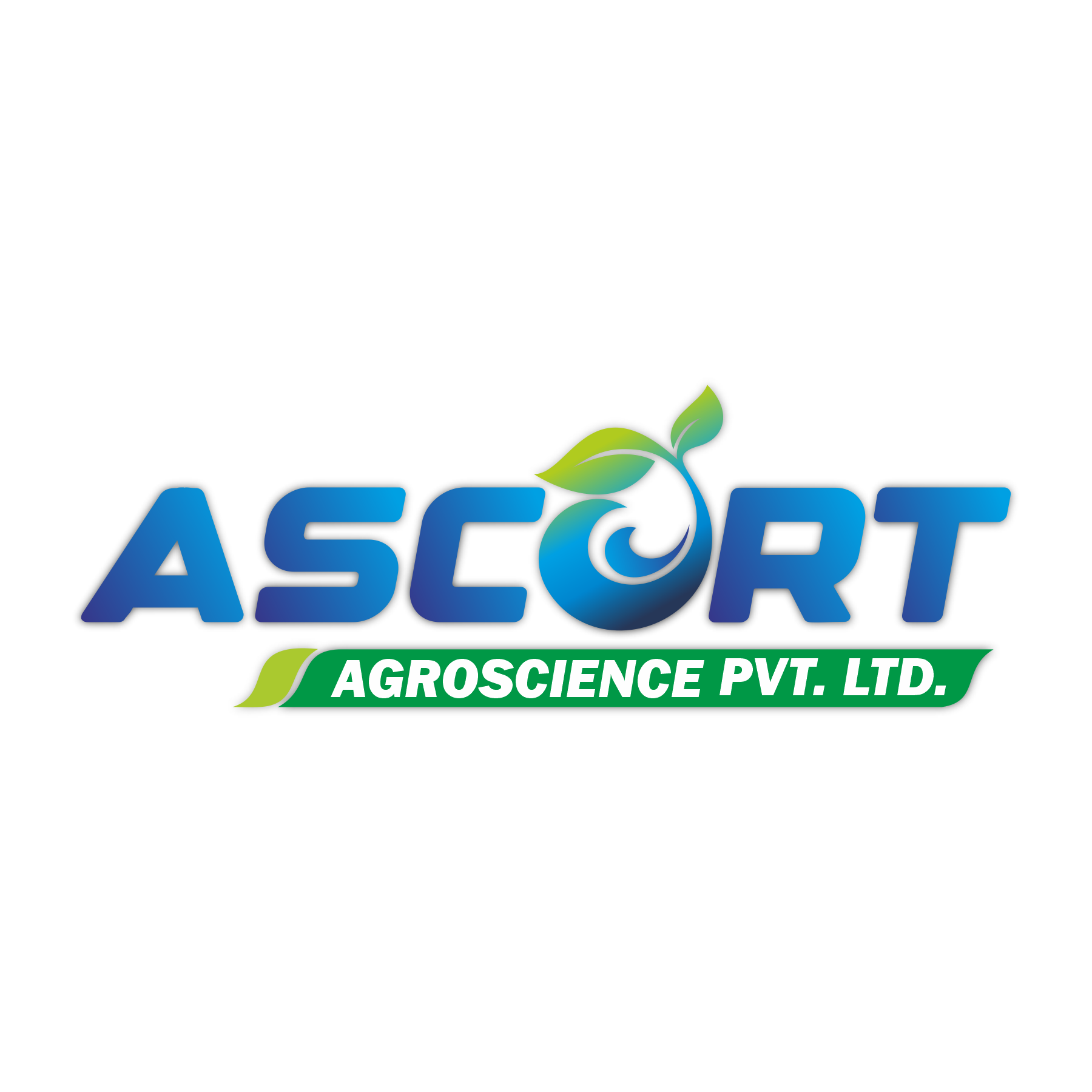 Client Logo 13