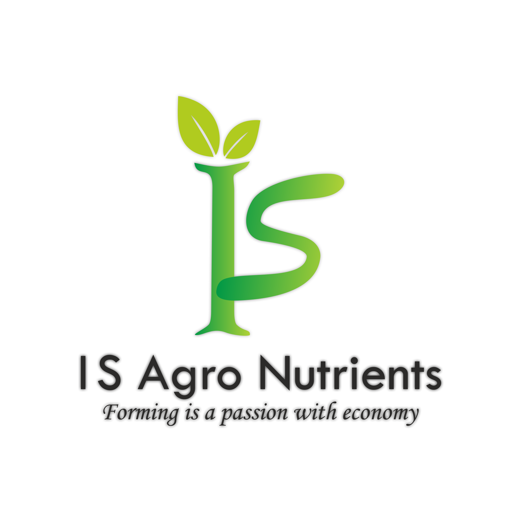 Client Logo 31